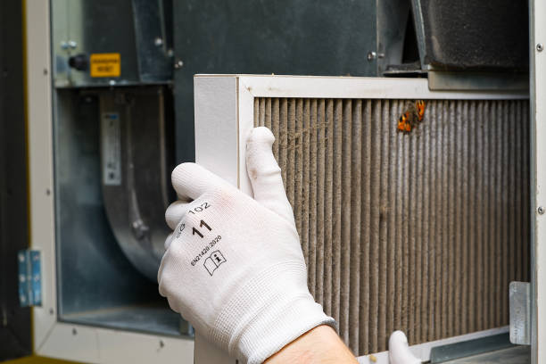 Best Home Air Vent Cleaning  in Mccla, AL